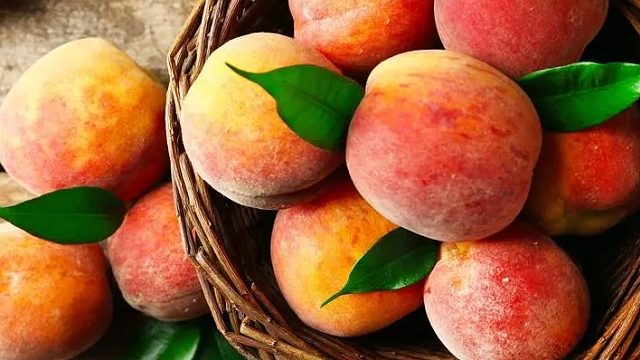 感谢爱老板的魔法书吼新的惊喜但是好久不见喽来啦