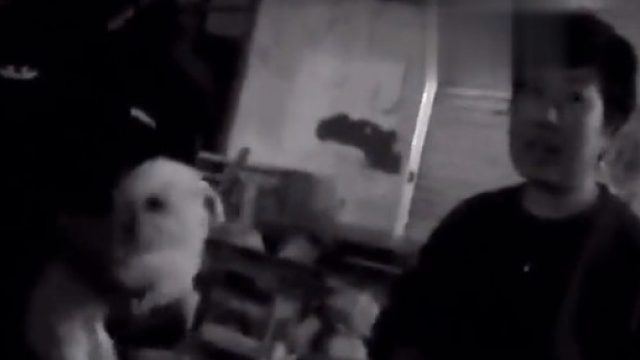 男子趁着夜色抱走他人小狗，被行拘6天。大姐：俺还不如给你一个！但不能偷