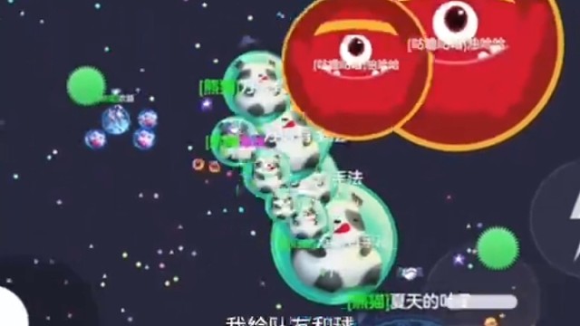 万语的球球日常