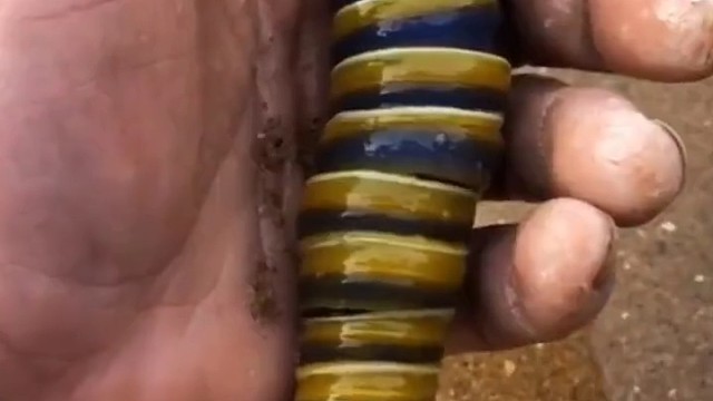 有谁知道这是啥啊？