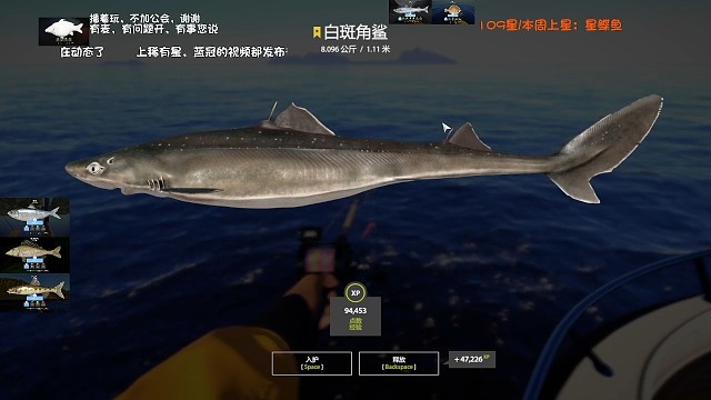 34图–星白斑角鲨（110星）