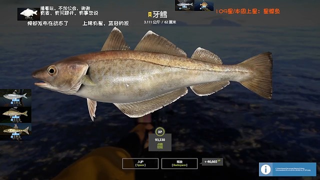 34图–星牙鳕（111星）