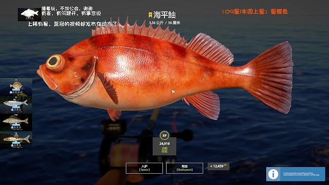 34图–星海平鲉（112星），今天当狗托，真的爽