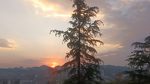 手机里不止风景