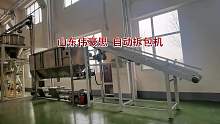 石油焦自动破袋系统自动拆包机现场视频
