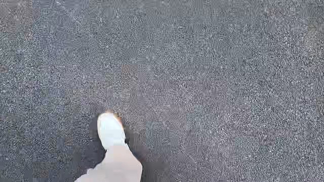 白茶清欢无别事我在等风也在等你