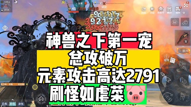 神兽之下第一宠虚实天花板