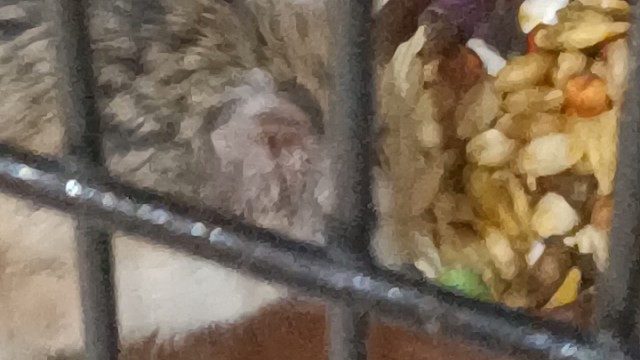 不知道的还以为饿了好久