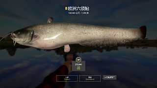 又雙星了喂