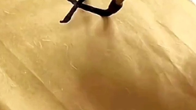 这真是绝技，高人