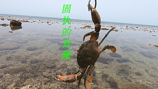 渔民阿平视频封面