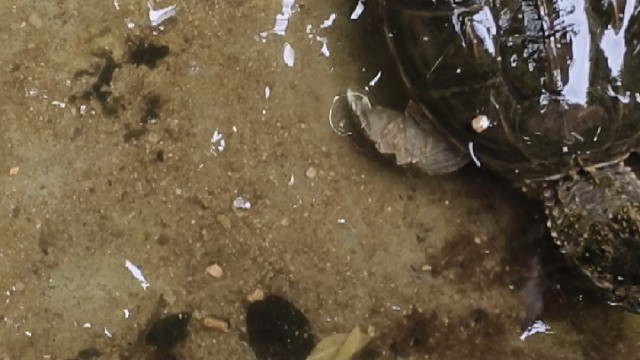 我发布了一个新视频，快来围观吧！