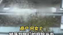 大块玻璃爆裂从天而降楼下商户遭了殃。商户要求赔偿损失三十多万
