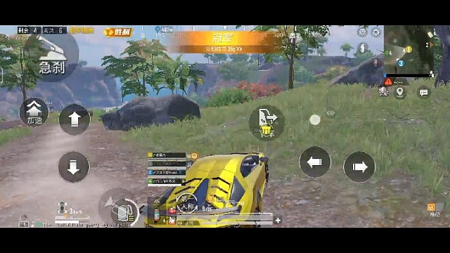 吃鸡或王者找cp