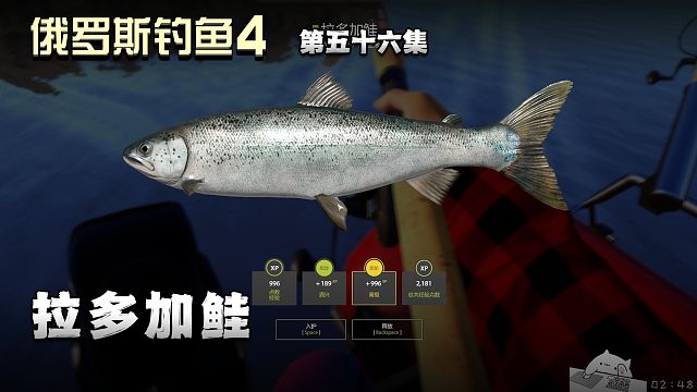 俄罗斯钓鱼4第五十六集：拉多加鲑