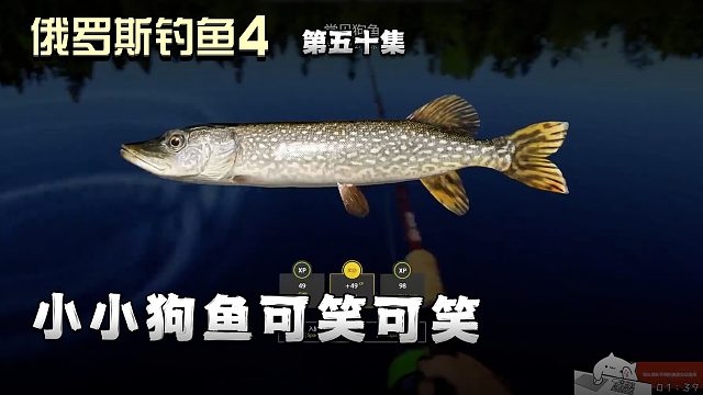 俄罗斯钓鱼4第五十集：小小狗鱼可笑可笑
