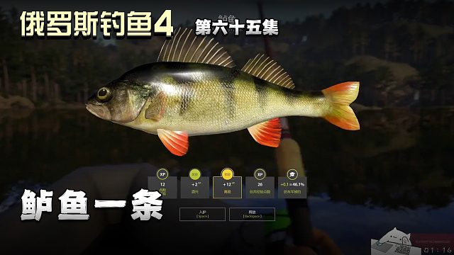 俄罗斯钓鱼4第六十五集：鲈鱼一条