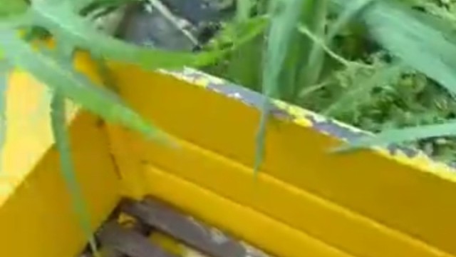 左零右火，雷公助我