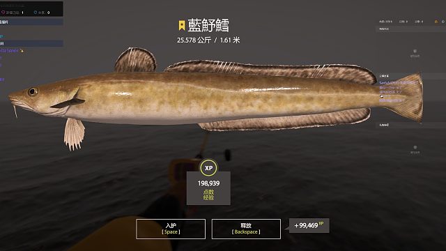 2023.5.22直播星蓝魣鳕