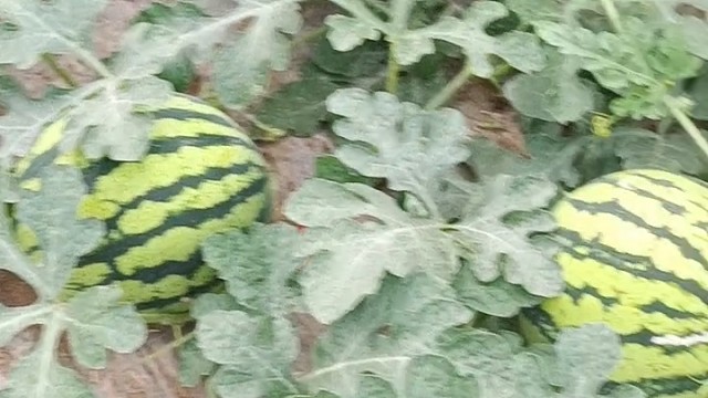 我发布了一个新视频，快来围观吧！