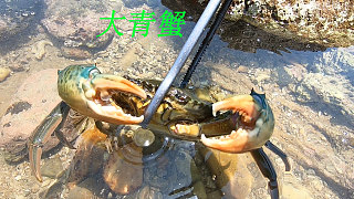 渔民阿平视频封面