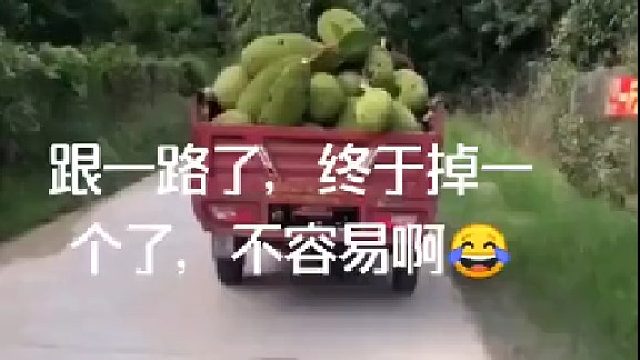 跟了一路了，终于掉一个了，不容易啊
