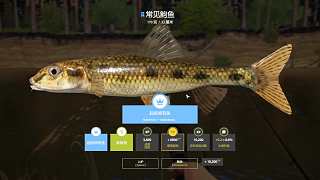 3圖惟有諾克河—藍(lán)鮈魚，嶄新號(hào)水底第三條魚直接上藍(lán)