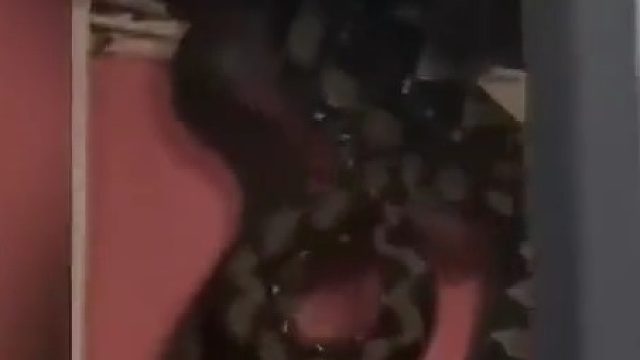 要是我，现在外面下雨，我睡马路都不睡家里~