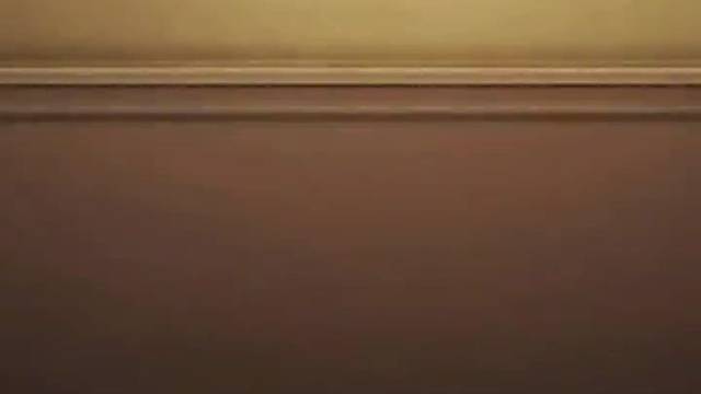 主打的就是陪伴！