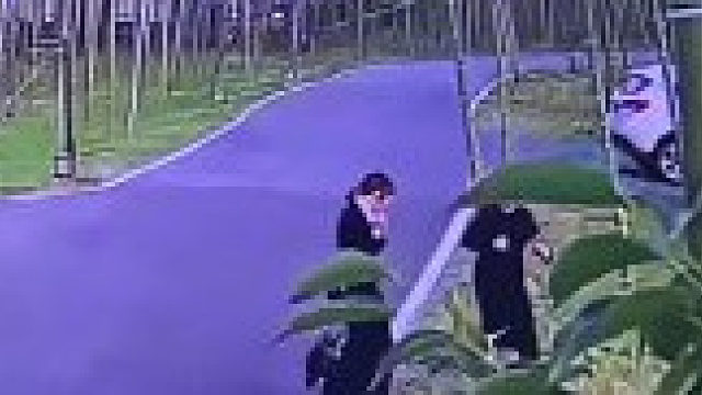 两名女生莫名其妙被黑天鹅攻击，一女生反手将黑天鹅制服。天鹅：你们什么档次和我穿一样的