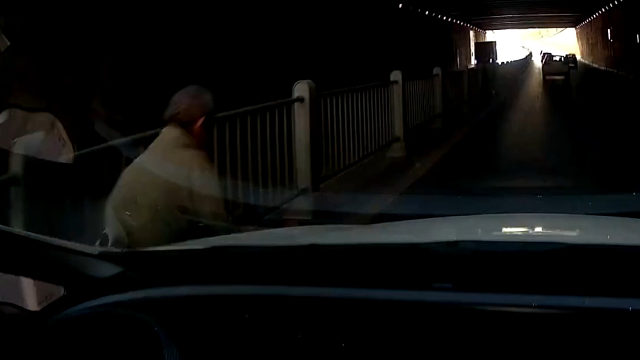 行车记录仪视角：经医院检查，老人无大碍。交警判定老人承担主要责任，司机次要责任