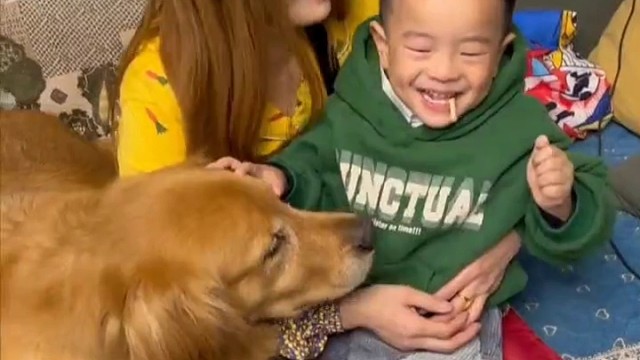 是宠物也是家人