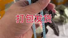 我發(fā)布了一個(gè)新視頻，快來(lái)圍觀吧！