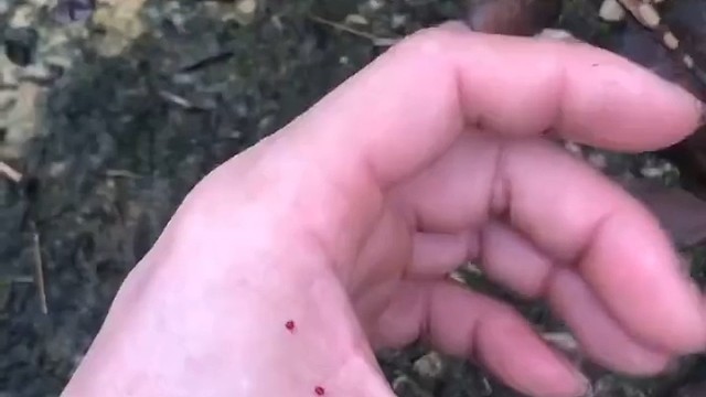 请问下一步干什么？[泣不成声]