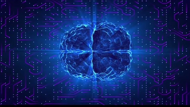 植物性神经紊乱也被称为自主神经？