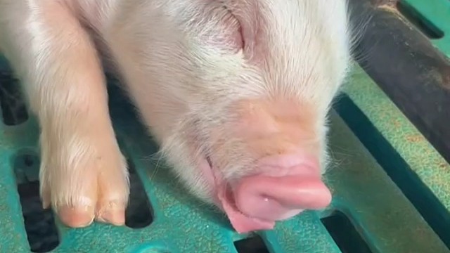 工厂现状就是这样吧……？