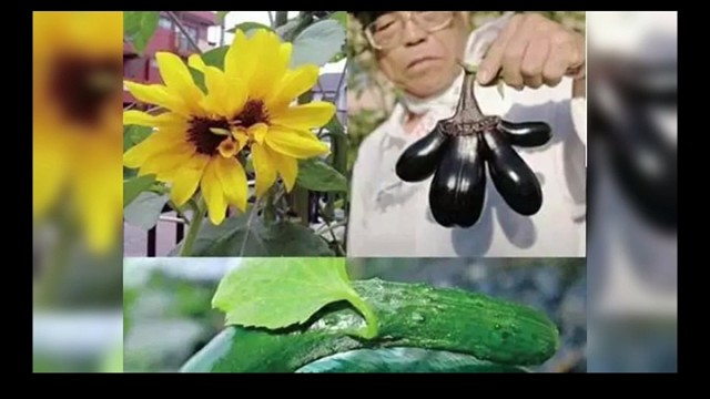 植物神经紊乱！