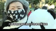 日本人有多爱咱们的“国宝”大熊猫。