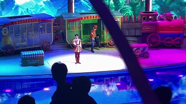 海狮表演