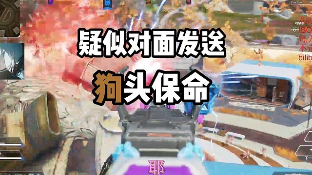 皇家御厨选马从不挑