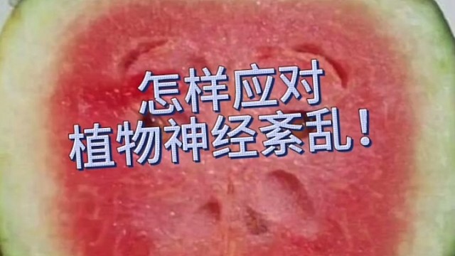 植物神经紊乱！