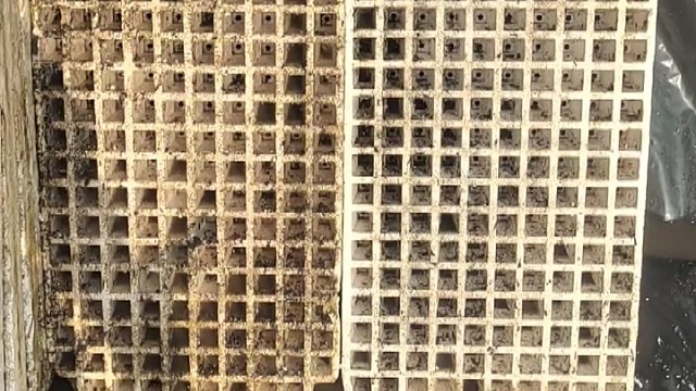 超级无敌宇宙级解压