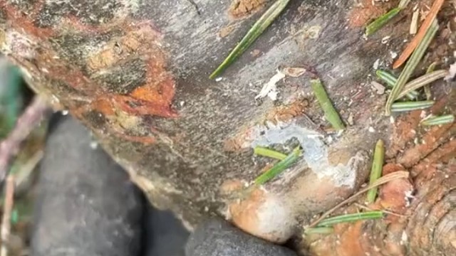 莫名的爽是怎么回事。。。