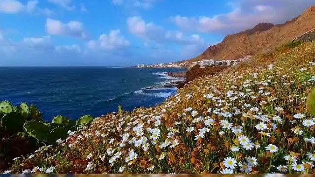 植物性神经紊乱的调整