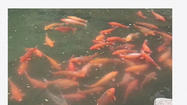 怎样判定是共济失调呢？