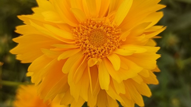 这三天出差晚上不定时直播，或许会很晚哦！每次动态只能说一半，无语……