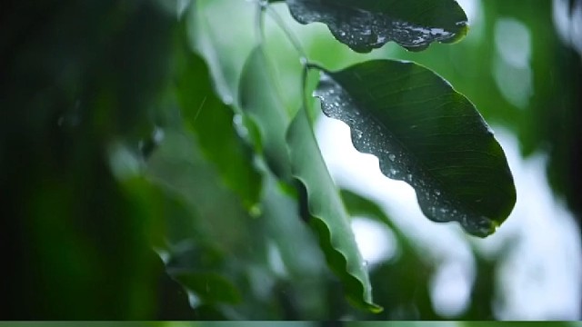 失眠是由什么引起的