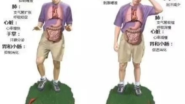 长期生活作息不规律会发生什么？