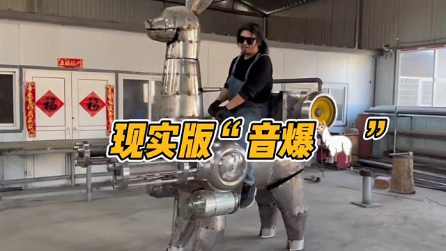 现实版“音爆羊驼”！