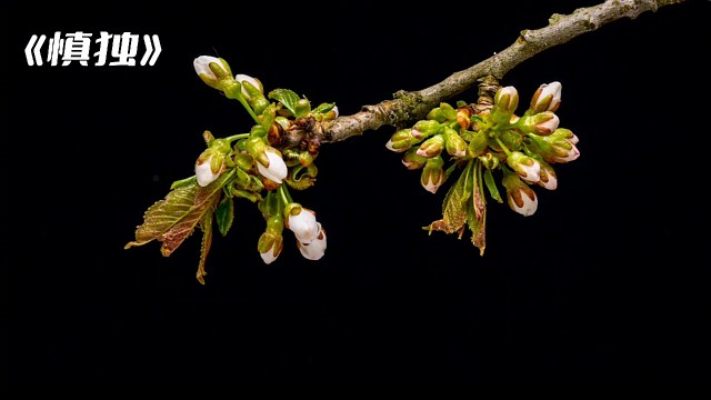 君子慎独：当我们处在“独”的生活条件时，极需要“慎”来律己。